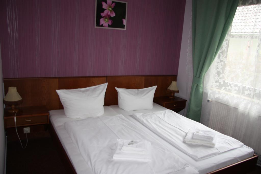 Hotel Zum Goldenen Stern Leibsch Екстер'єр фото